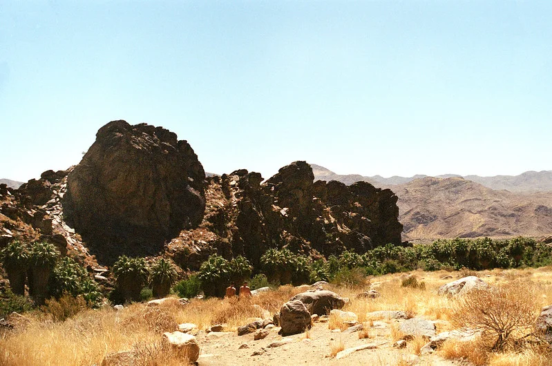 35mm film frame, natural light