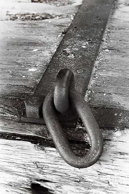 35mm film frame
